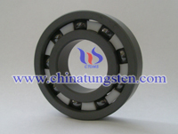 carbide bearing